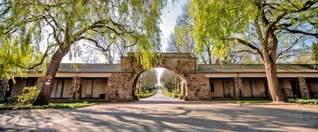 Der Hauptfriedhof in Wambel