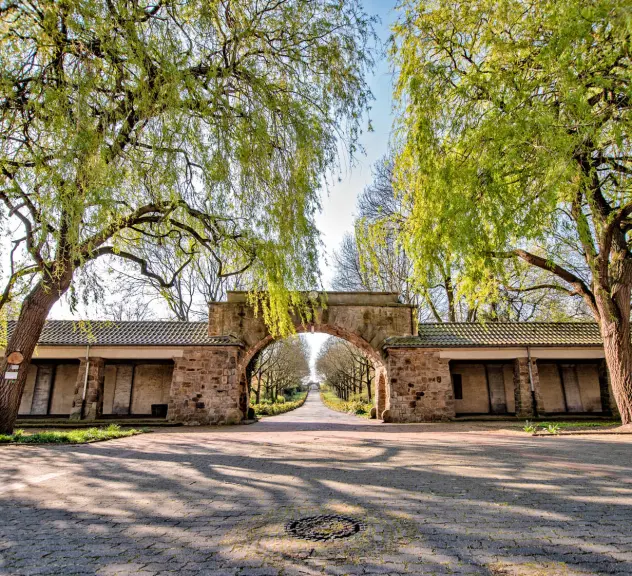 Der Hauptfriedhof in Wambel.