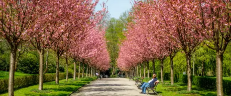 Aktion "Herzensorte" in der Innenstadt