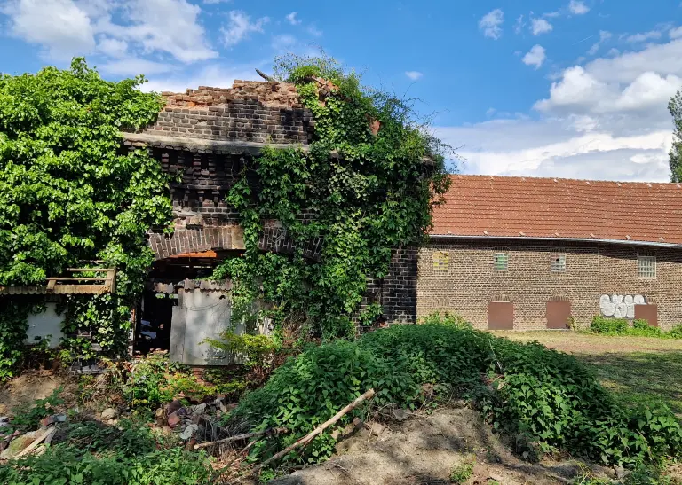 Der Hof Schulte-Somborn hat mehrfach gebrannt und sollte bald abgerissen werden. Imker Schmidt baut ihn nun nach und nach wieder auf. 