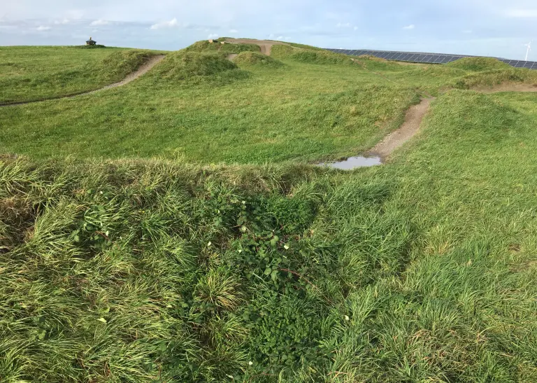 Die Fahrspuren des Mountainbike-Parcours sind nicht mehr in bestem Zustand und werden grundlegend überarbeitet. 