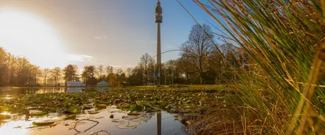 Florianturm am Morgen im Herbst