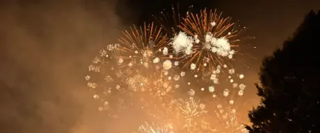 Besucher*innen betrachten das spektakuläre Feuerwerk beim Lichterfest im Westfalenpark in Dortmund, umgeben von Dunkelheit und illuminierten Bäumen.