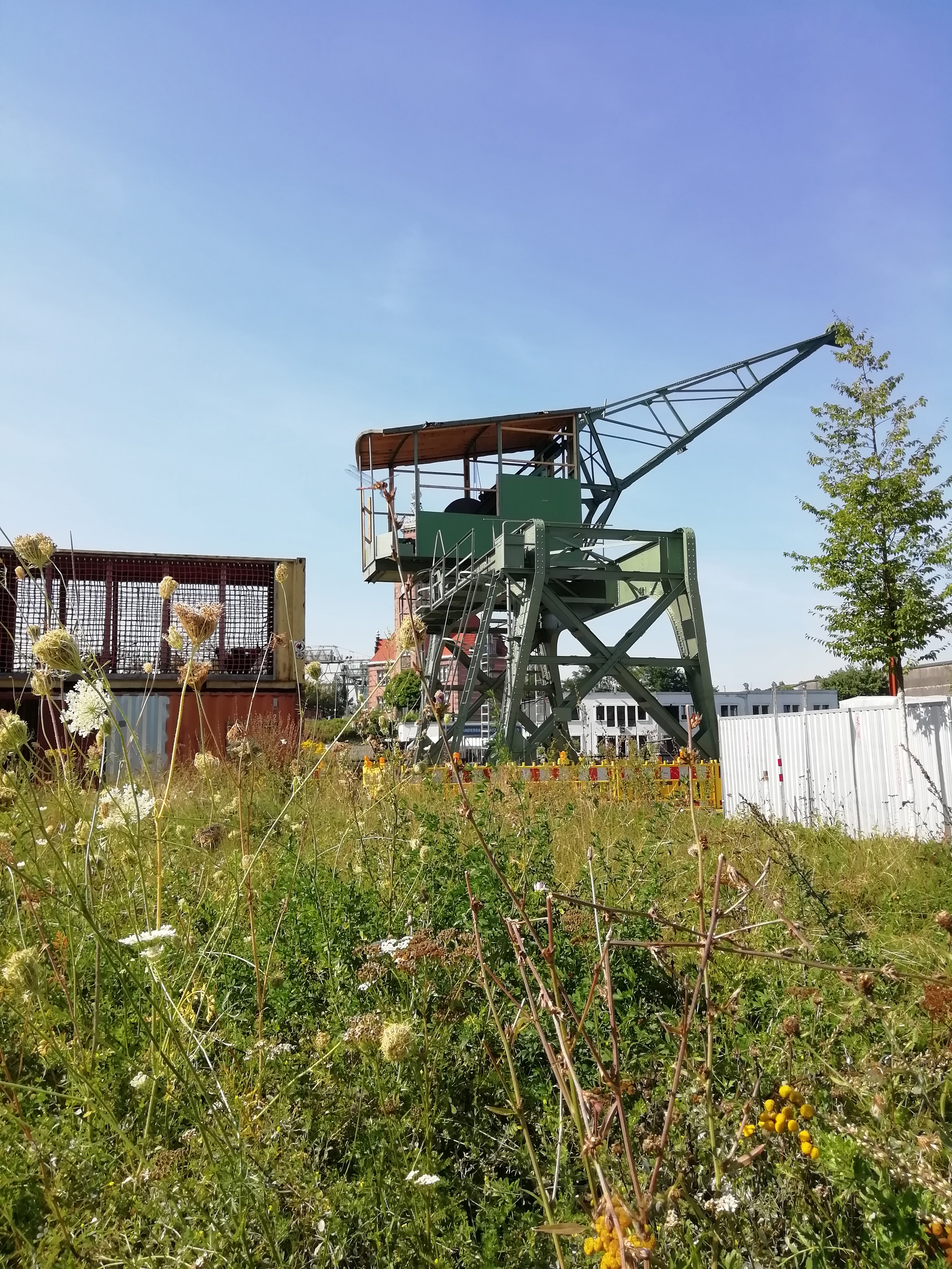 Historischer Hafenkran