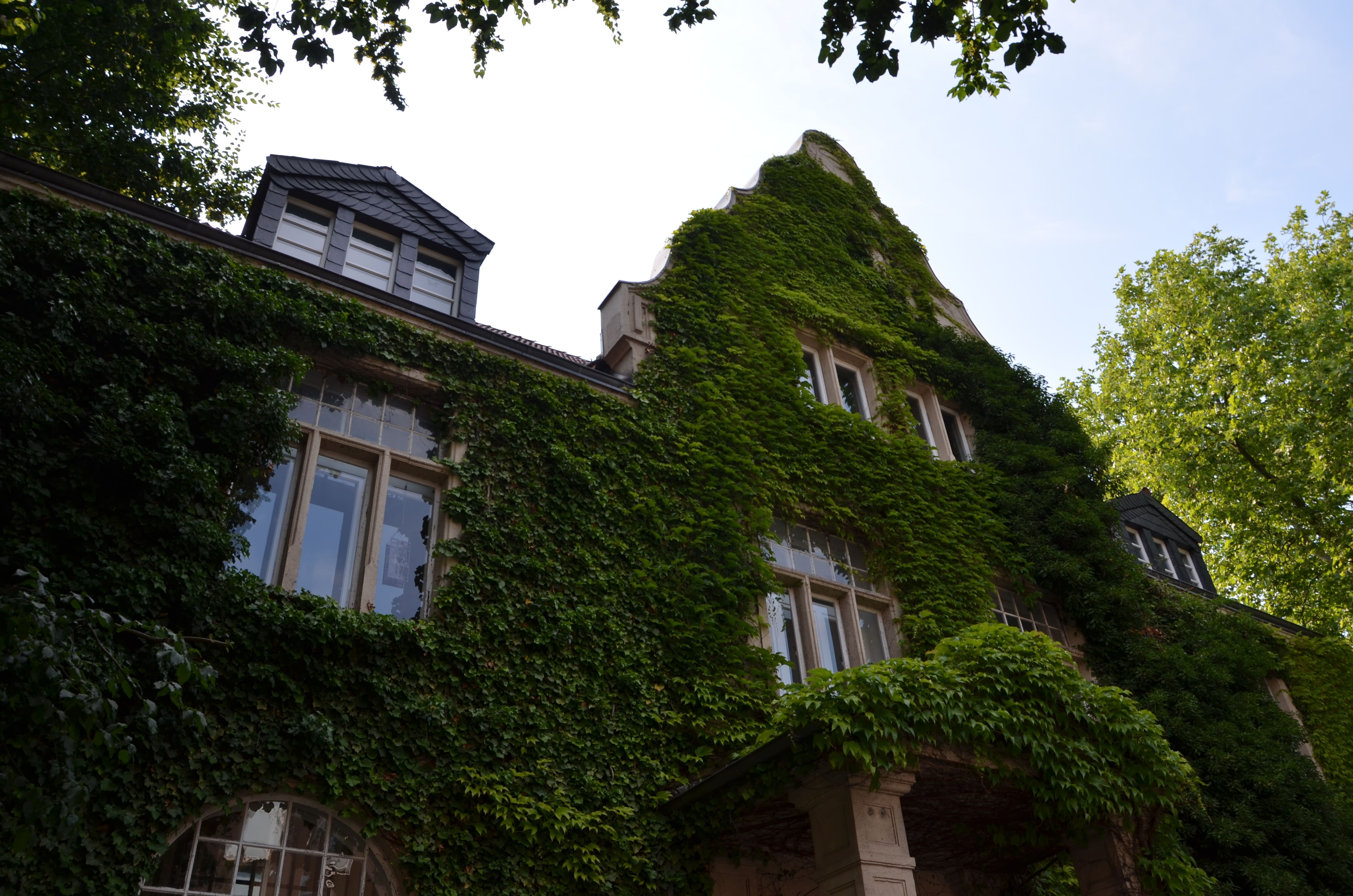 In einem natürlichen Grün gestaltete Fassade