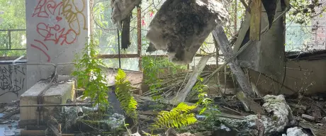 Eine alte verlassene Halle, ein "lost place". Die Halle ist von wilden Pflanzen überwuchert.