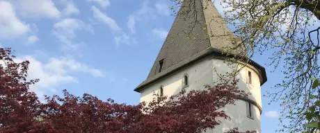 Zu sehen ist die Spitze des Adlerturms vor blauem Himmel. Davor stehen Bäume, deren Äste einen Teil des Turms verdecken.