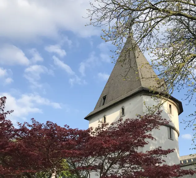 Zu sehen ist die Spitze des Adlerturms vor blauem Himmel. Davor stehen Bäume, deren Äste einen Teil des Turms verdecken.