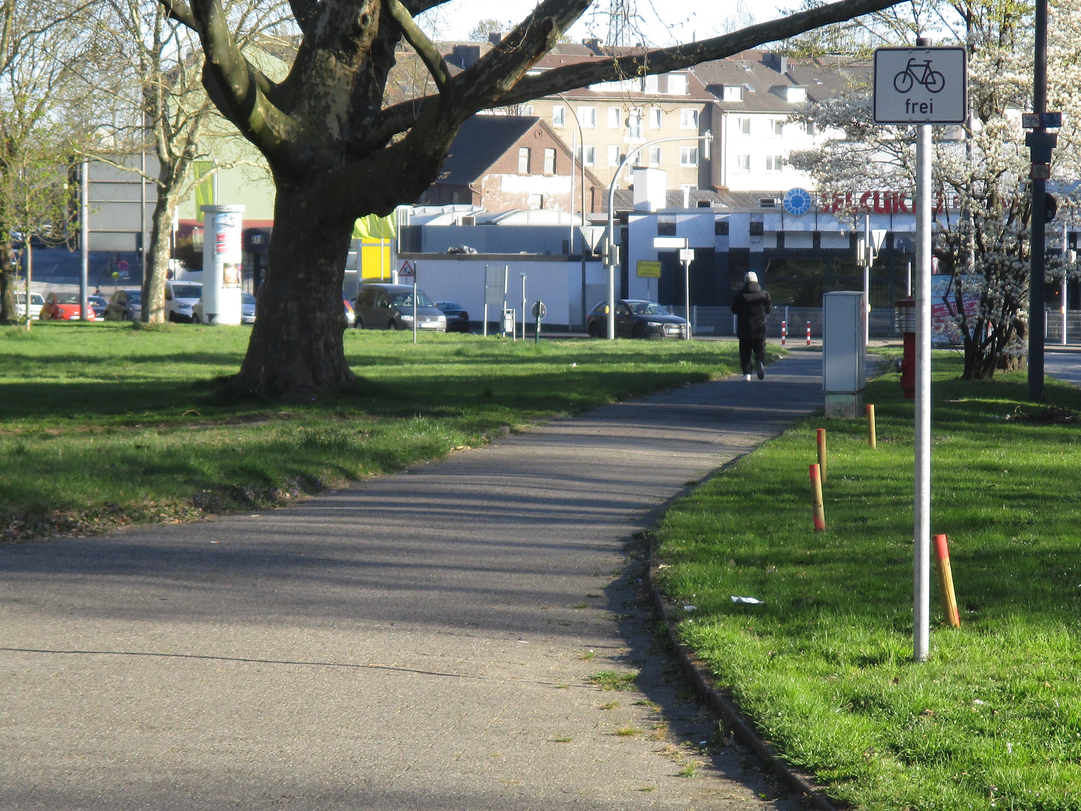 Geh- und Radweg der in Gegenrichtung freigegeben ist.
