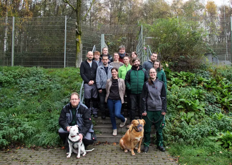 Eine Gruppe von 13 Menschen steht auf einer Treppe und lächelt in die Kamera. Ein Mann hockt hinter einem weißen Hund in Geschirr. Rechts daneben hat eine Frau einen Hund mit hellbraunem Fell und einem Maulkorb an der Leine.