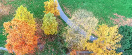 Luftbild: Herbstlich bunte Bäume, Wege und grüne Wiesen im Westfalenpark