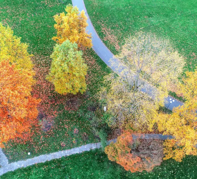 Luftbild: Herbstlich bunte Bäume, Wege und grüne Wiesen im Westfalenpark