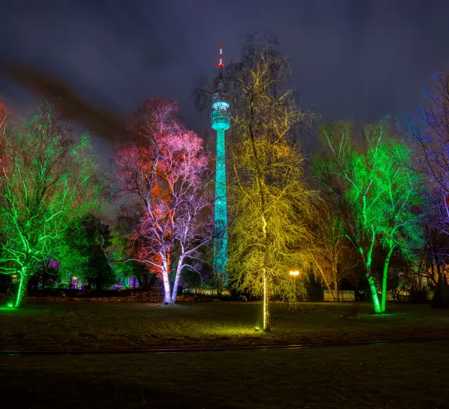 Bunt beleuchtete Bäume und der ebenfalls beleuchtete Fernsehturm im nächtlichen Westfalenpark.